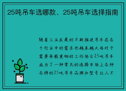 25吨吊车选哪款、25吨吊车选择指南