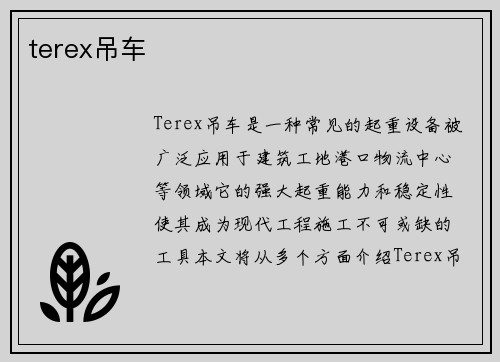 terex吊车