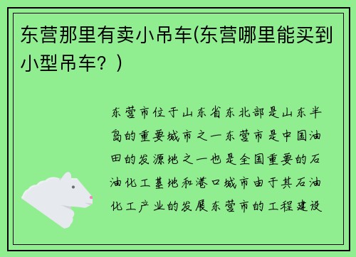 东营那里有卖小吊车(东营哪里能买到小型吊车？)