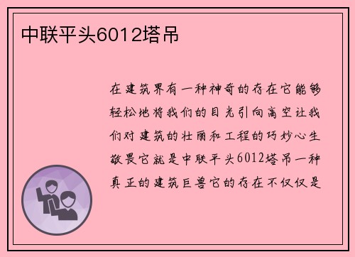 中联平头6012塔吊