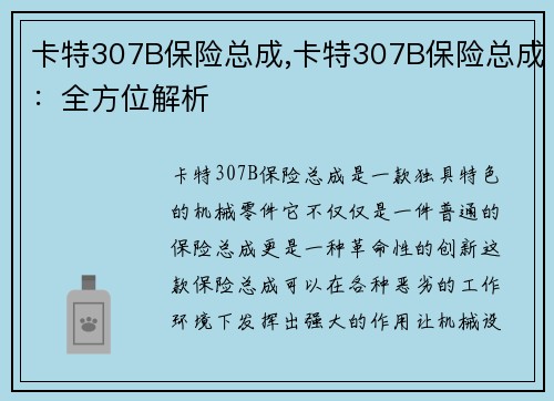 卡特307B保险总成,卡特307B保险总成：全方位解析